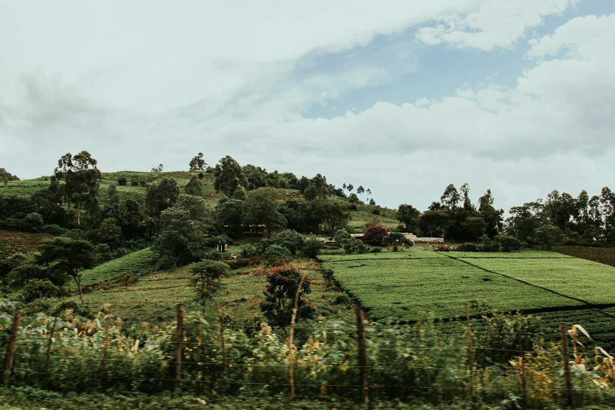 Kenia Landschaft