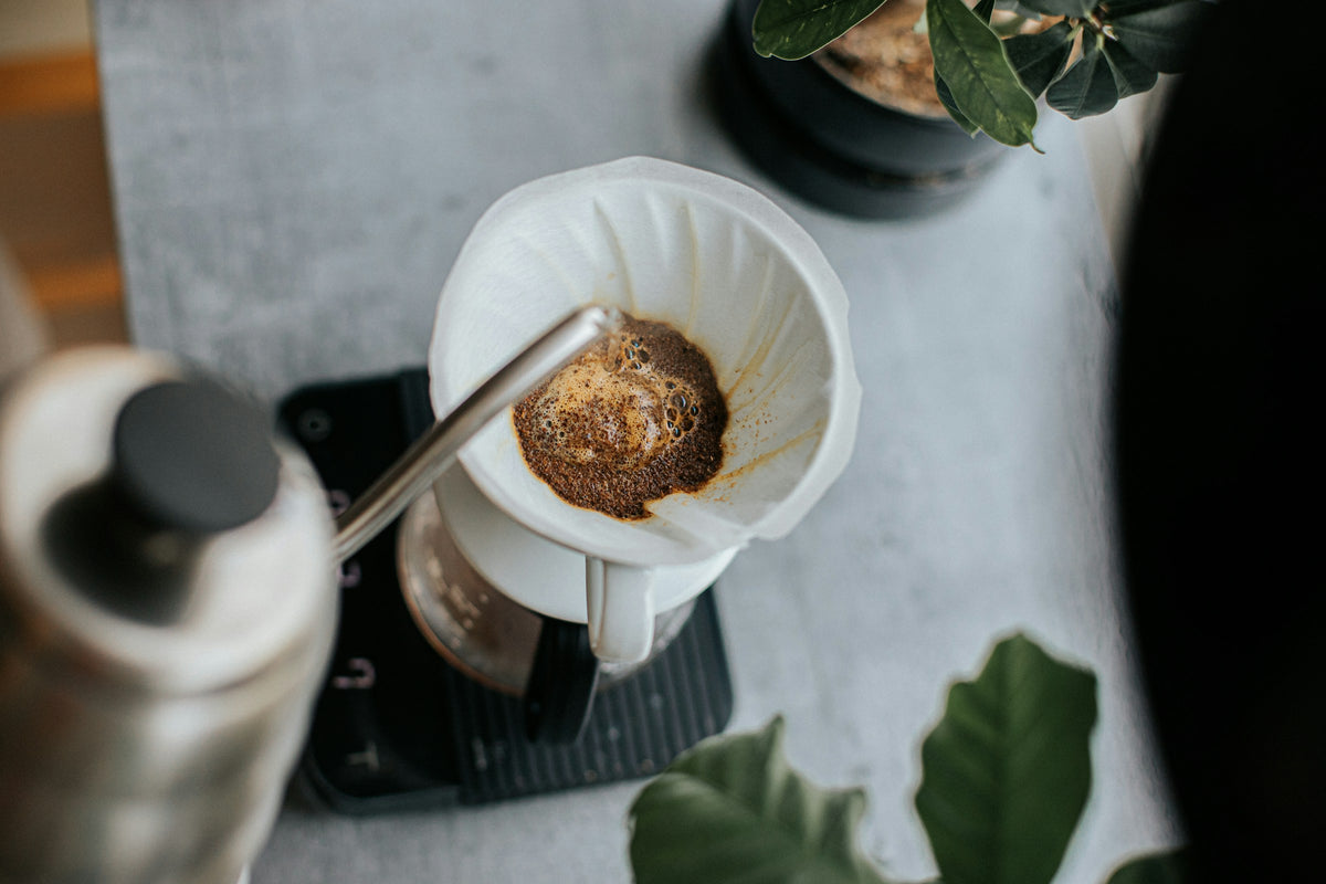 Filterkaffee wird per Handfilter aufgebrüht